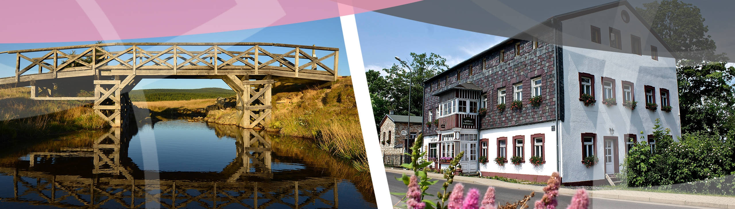 Wakacyjne warsztaty z Vinyasą Yogą w Biorezydencji